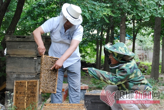 临沂年货大集,临沂齐鲁园年货大集