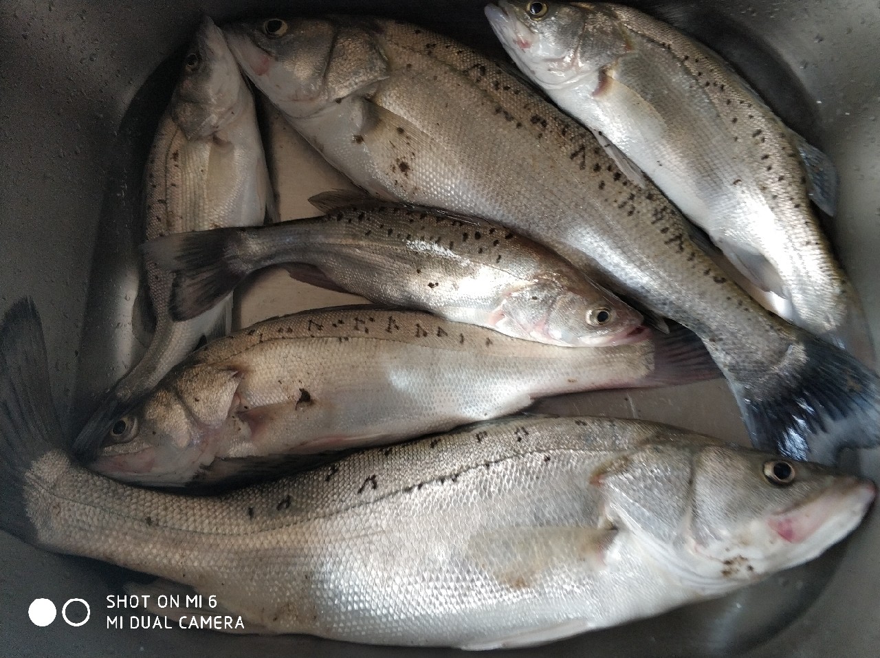 不懂钓鱼的人开渔具店,多少钓友才适合开渔具店