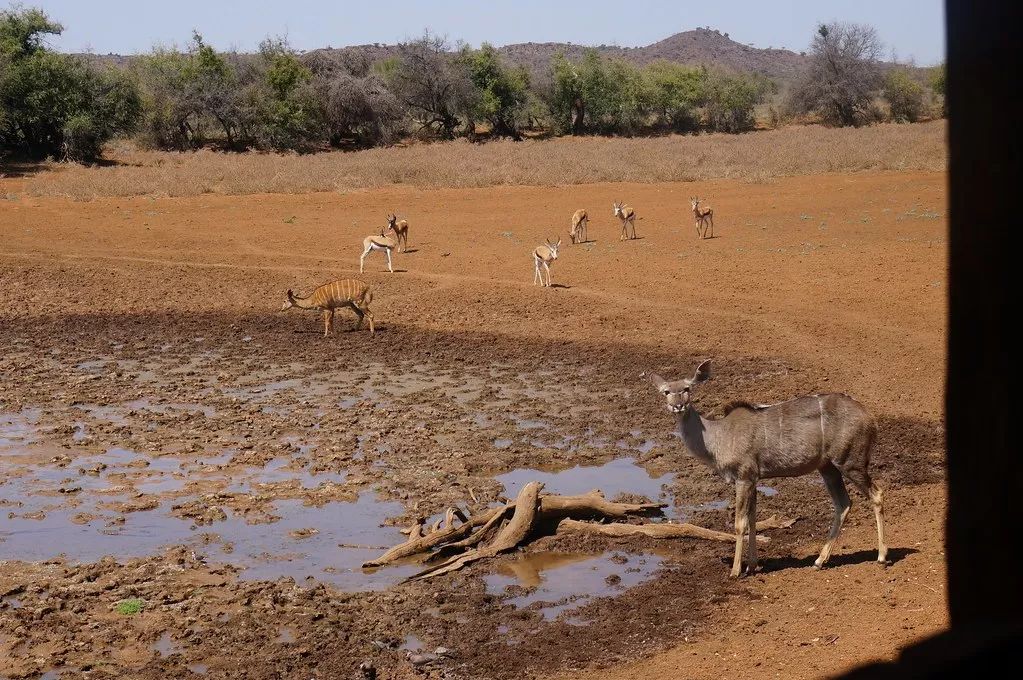 2023年去南非安全吗,国内怎么去南非最划算
