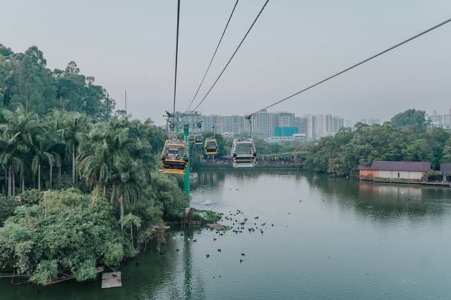 广州长隆野生动物世界旅游攻略,暖冬长隆3天2晚