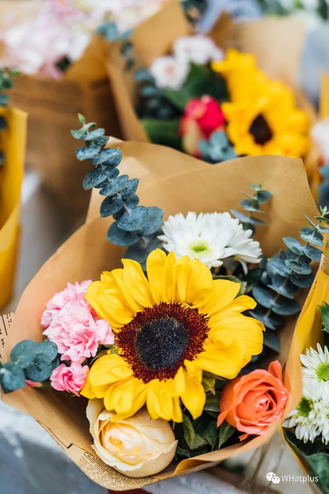 武汉最大鲜花批发市场,武汉哪个市场鲜花最便宜