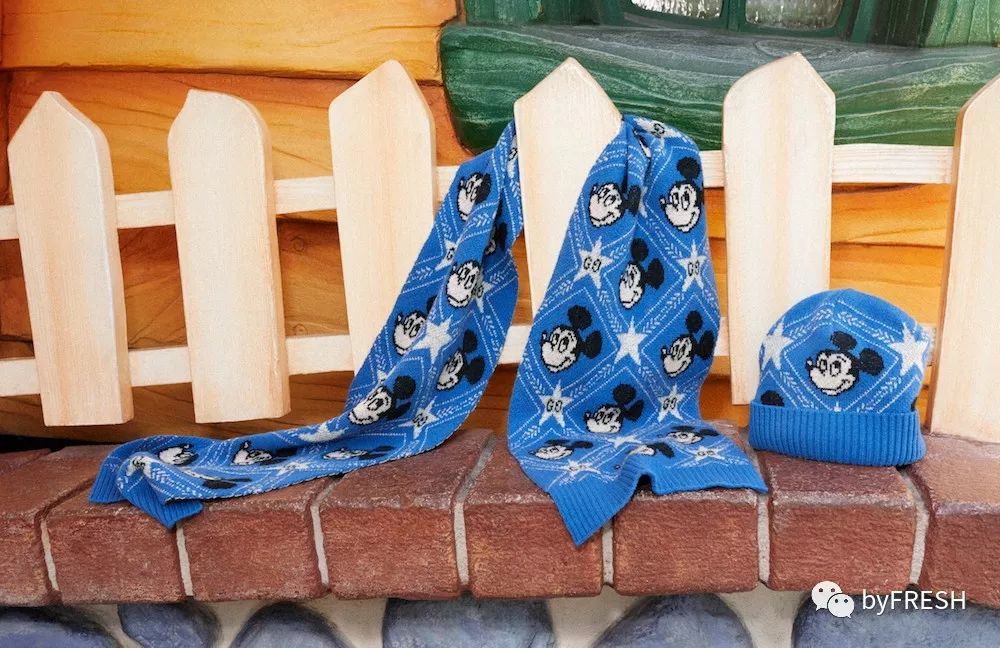 mouse和mickey什么意思,mickeymouse第四阶段