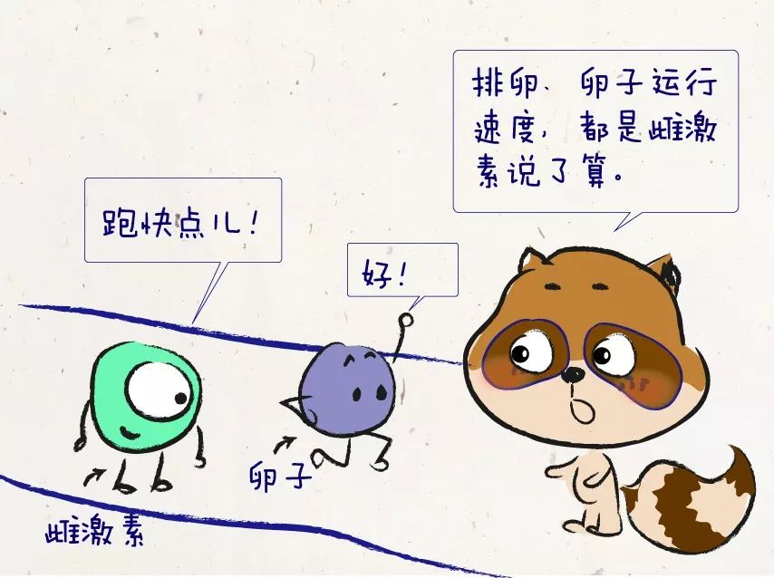 雌激素高的女性样貌,雌激素缺乏会显老吗