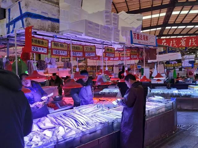 青岛海鲜城螃蟹多少钱一只 (青岛螃蟹今年为啥便宜)