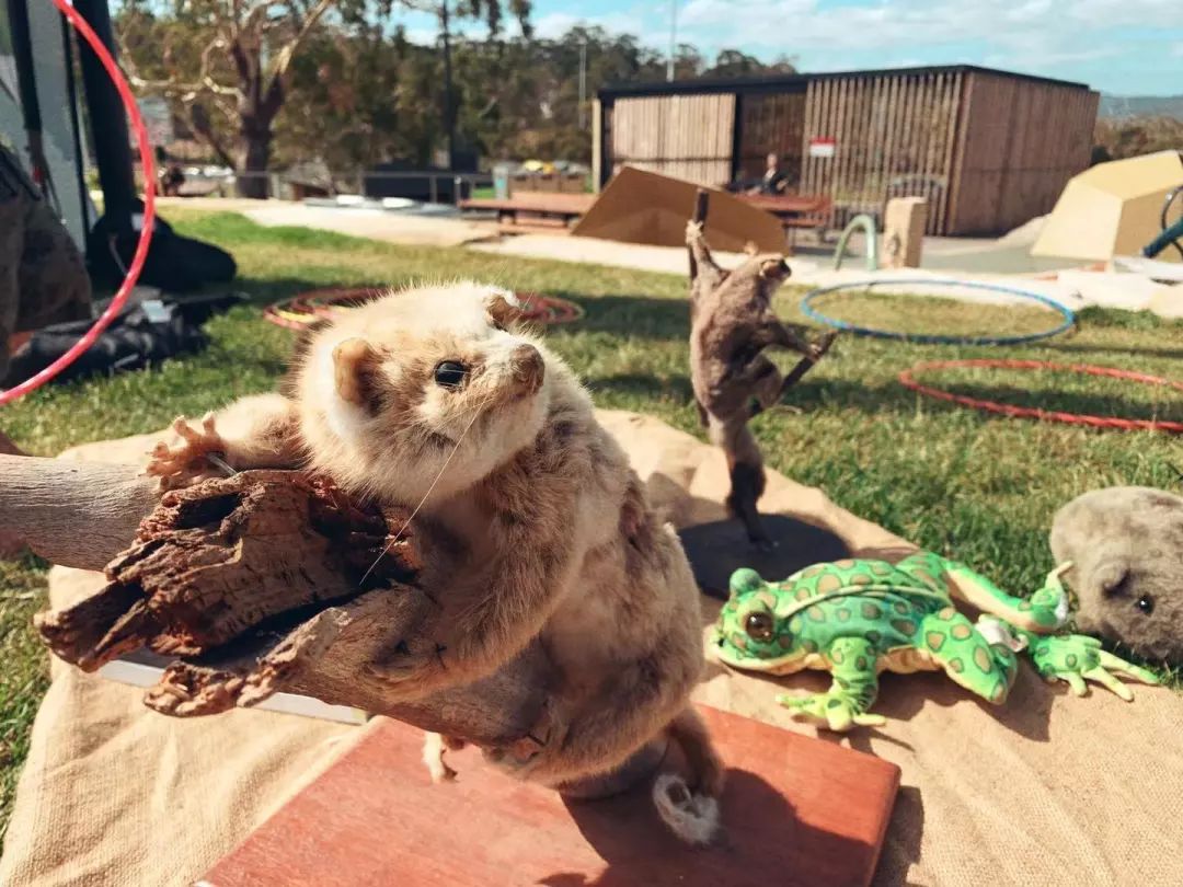 没有作业的澳洲暑假怎么熬？