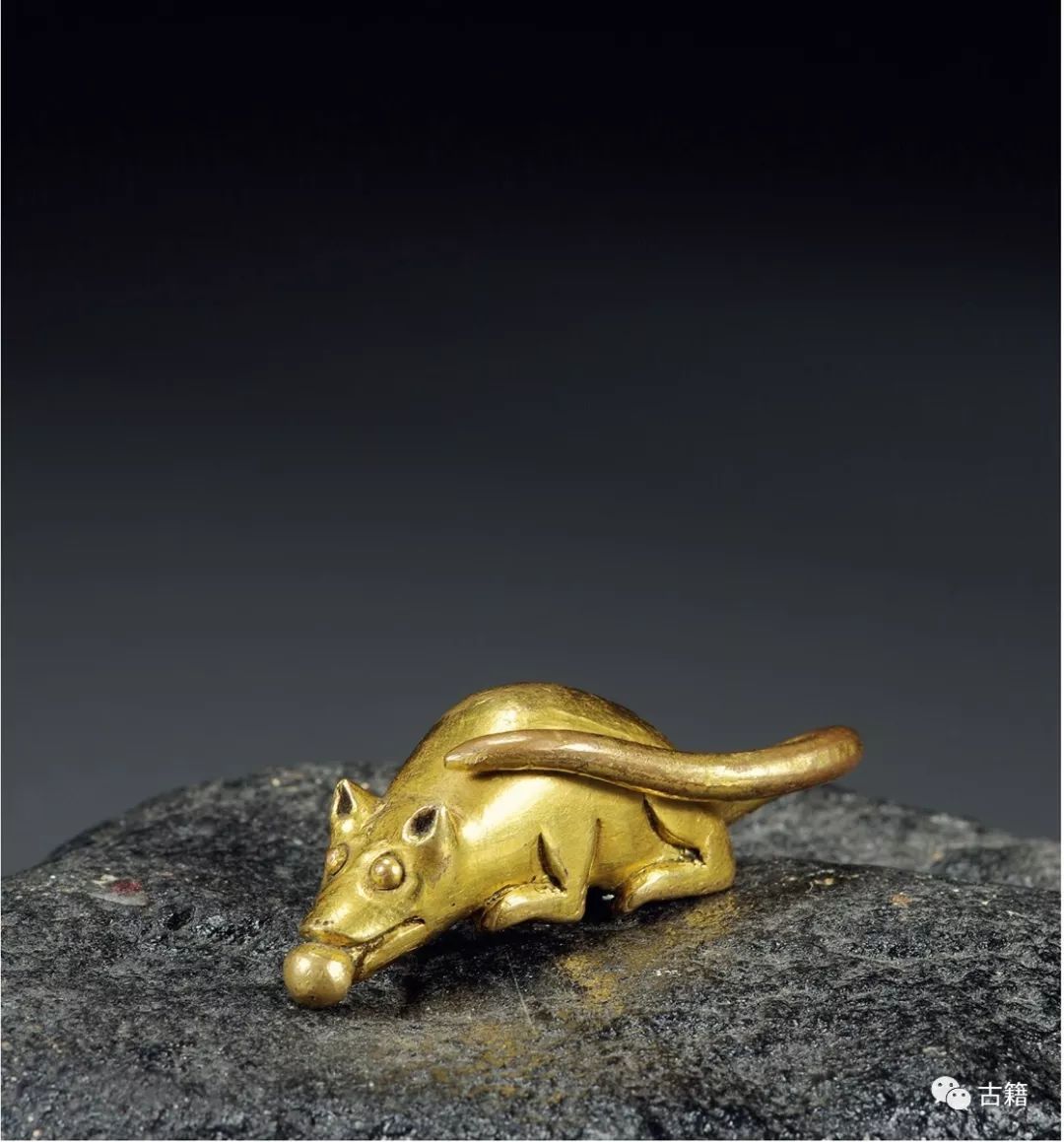 鼠年春晚说鼠,央视科普鼠年说鼠