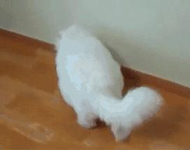 这份自救知识手册请收好,宅家生活指南整的手忙脚乱