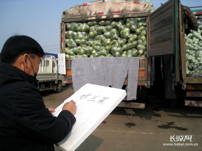 石家庄桥西蔬菜批发今日价格行情,今日石家庄桥西蔬菜水果批发价格