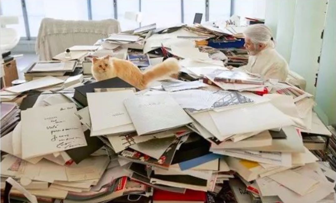 继承老佛爷遗产的猫怎么样了,老佛爷的猫咪现在怎么样了