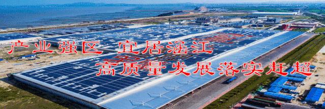 又一年*会两**,他们重温那幸福难忘的时刻