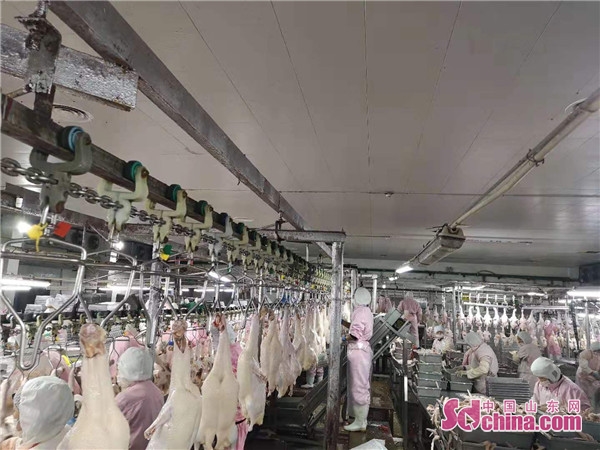 顶呱呱这家公司怎么样,菏泽郓城顶呱呱