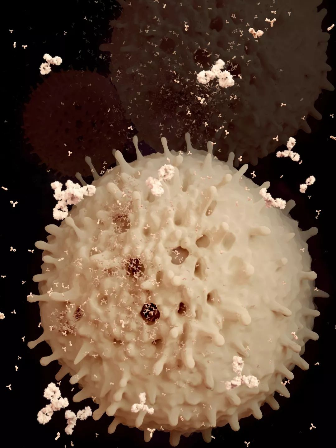 鍋囧鐥呮瘨鎰熸煋浜嗕綘,鍋囧鐥呮瘨鎰熸煋浜嗘垜