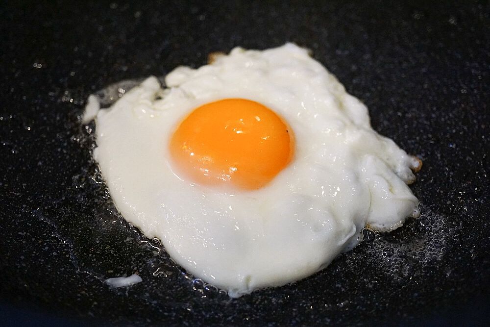 收到诈骗电话舍不得挂，看来他们也复工了，真好