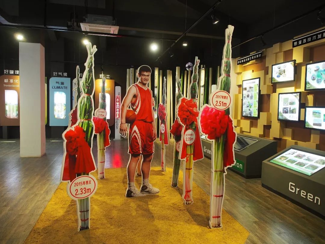 一送最少几十吨,支援湖北的背后是世界第一硬核蔬菜大国……