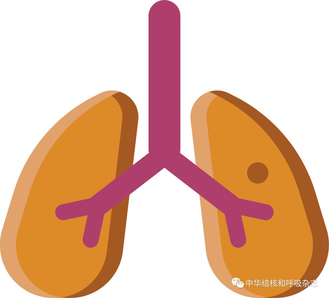 豚鼠耳炎奴卡菌,豚鼠耳炎奴卡菌感染