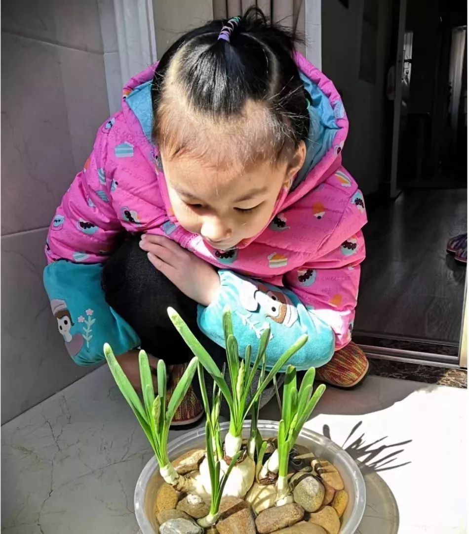 一天敲开216扇门，却只能在走廊与家人相望……丨法院战“疫”速览