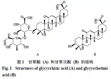 「研究」斯坦福大学和香港大*联学**合发文：甘草酸可能作为COVID-19潜在*制剂抑**