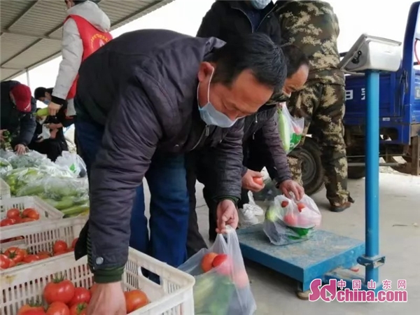 滨州先进基层党组织,滨州市滨城区农村党建工作