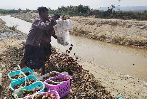 拼多多助农直播240场,助农拼多多