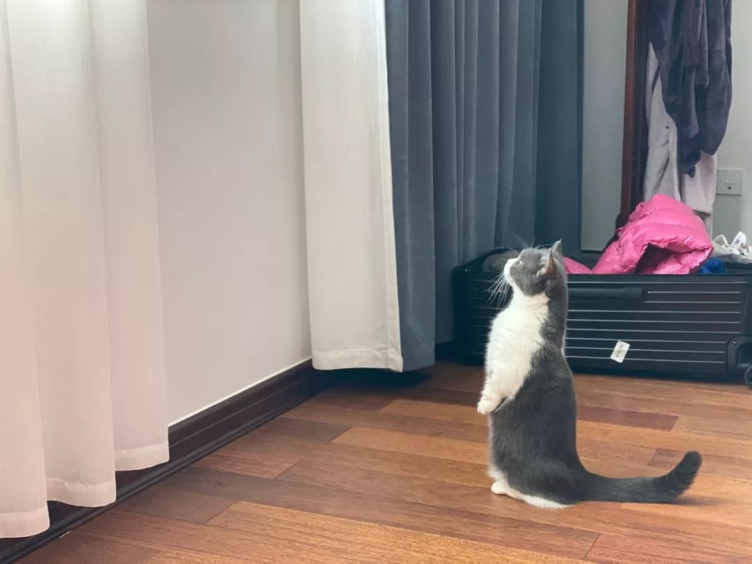 遇到诈骗电话是挂掉还是放任不管,接到诈骗电话就敲锅