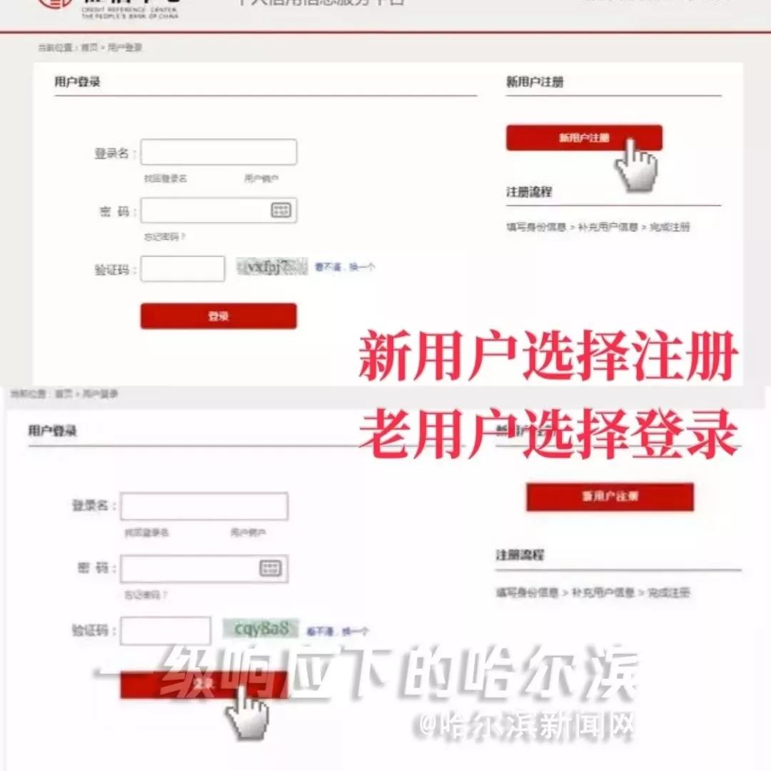 企业信用报告线上能查询打印吗,企业网上查询个人征信