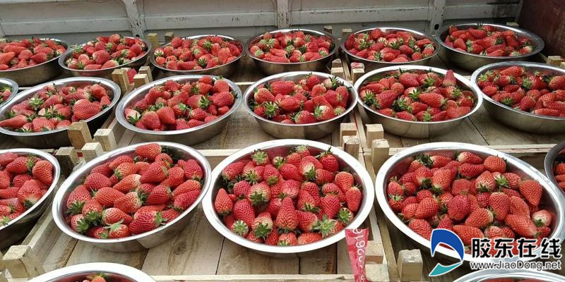 栖霞市疫情防控,栖霞区疫情防控情况