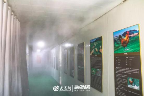 1元微力量捐款到武汉丨30枚爱心鲜鸡蛋26.8元，顺丰包邮到家