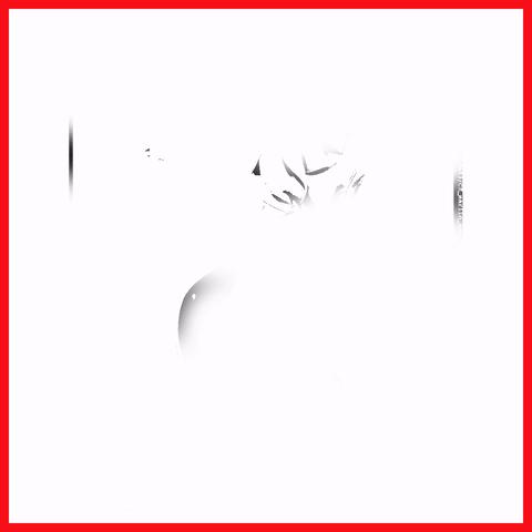 maxmara大衣,maxmara经典款大衣