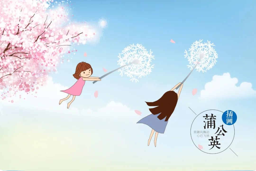 乳腺癌在化疗期间蒲公英可以喝吗,乳腺癌恢复期可以喝蒲公英茶吗