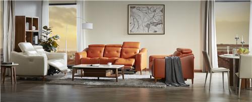 顾家家居买家具必学内行人,顾家家居发展历程