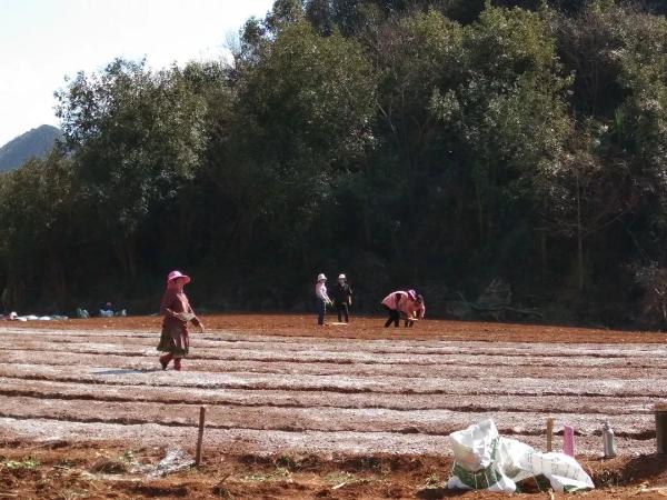 全力构筑抗疫网络安全屏障,支援基层防疫共筑平安防线