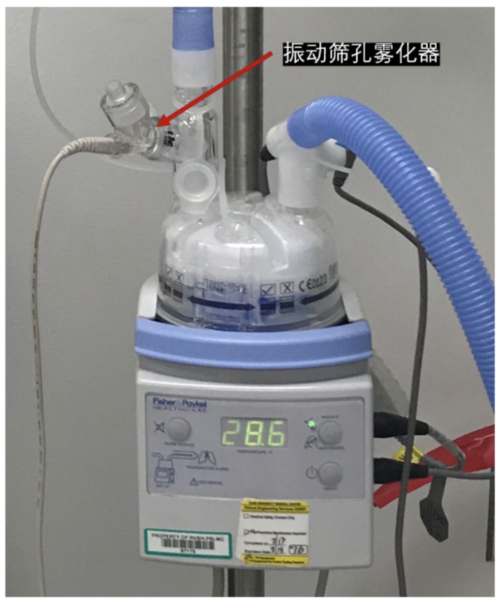 新型冠状病毒感染诊治指南,新型冠状病毒肺炎危重治疗原则