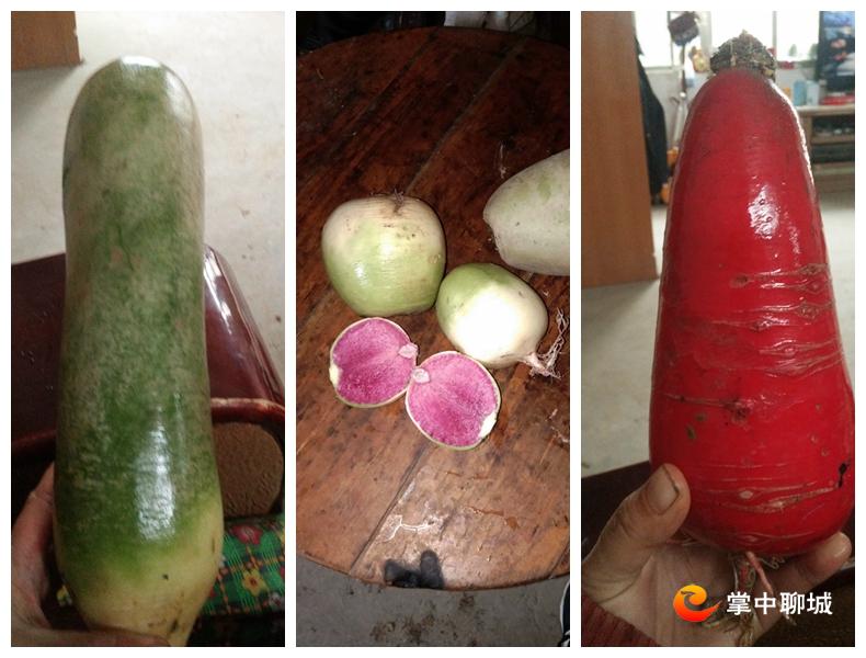 网友农产品滞销,一些农副产品滞销直播助农