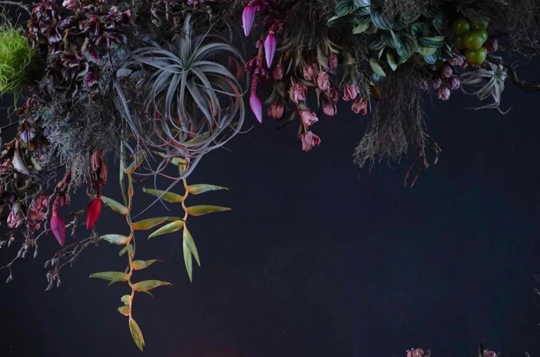 伦敦花店排名,伦敦一些有气质的花店推荐