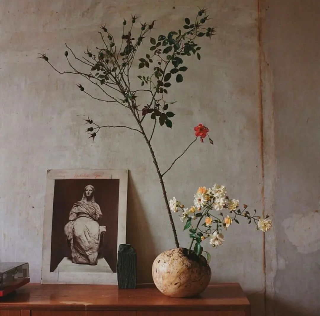 伦敦花店排名,伦敦一些有气质的花店推荐