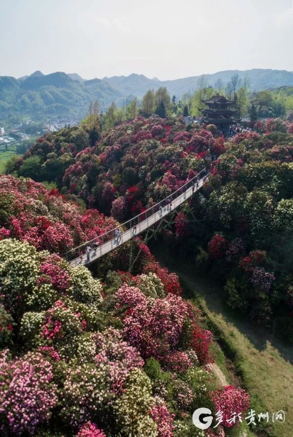 湖南对医护人员免费开放的景点,湖南医务人员免费旅游景点大全