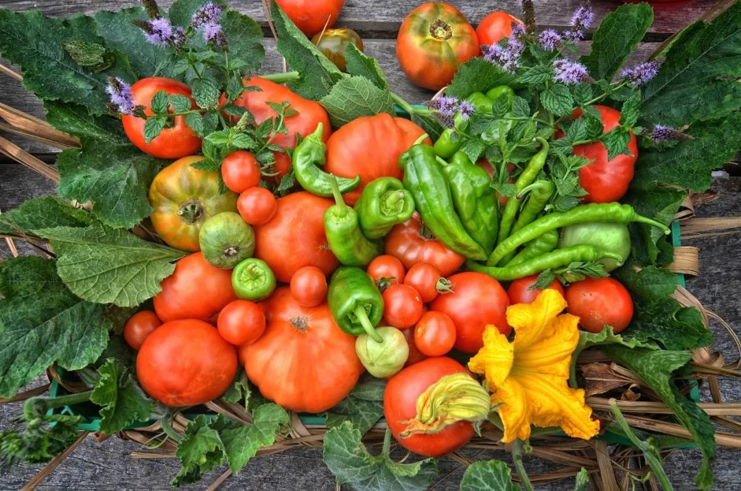 封控区志愿者需注意哪些,封控区志愿者怎么办