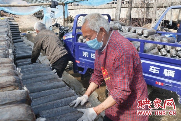 不负农时抢鲜上市,不负农时不负春博州上演春耕大片