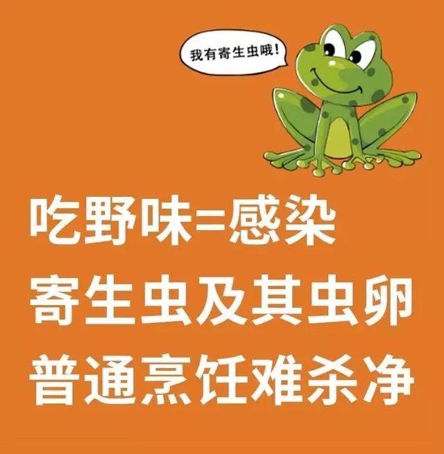 到底什么算是“野味”？