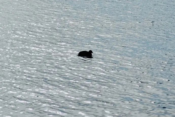 上月精彩视频回顾,上个月视频回顾