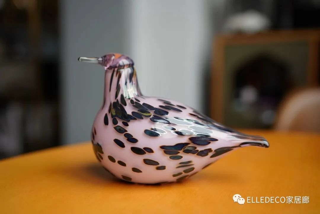 编辑们都下海了……