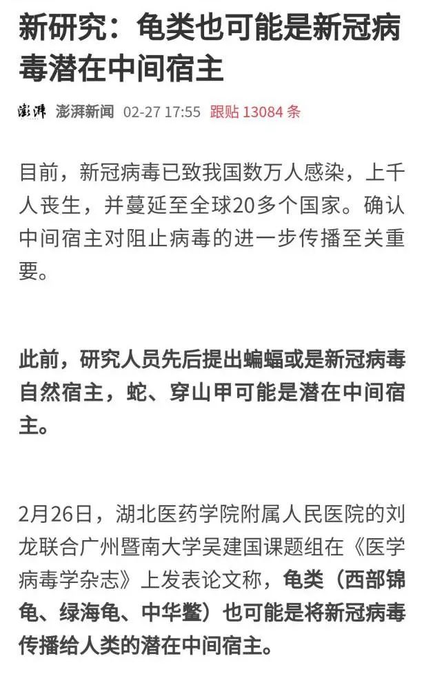 别再冤枉龟鳖蛇了，新冠病毒真不是它们传给人的