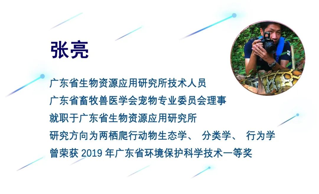 别再冤枉龟鳖蛇了，新冠病毒真不是它们传给人的