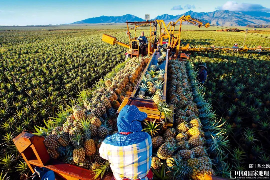 地质天文,地质地球物理学
