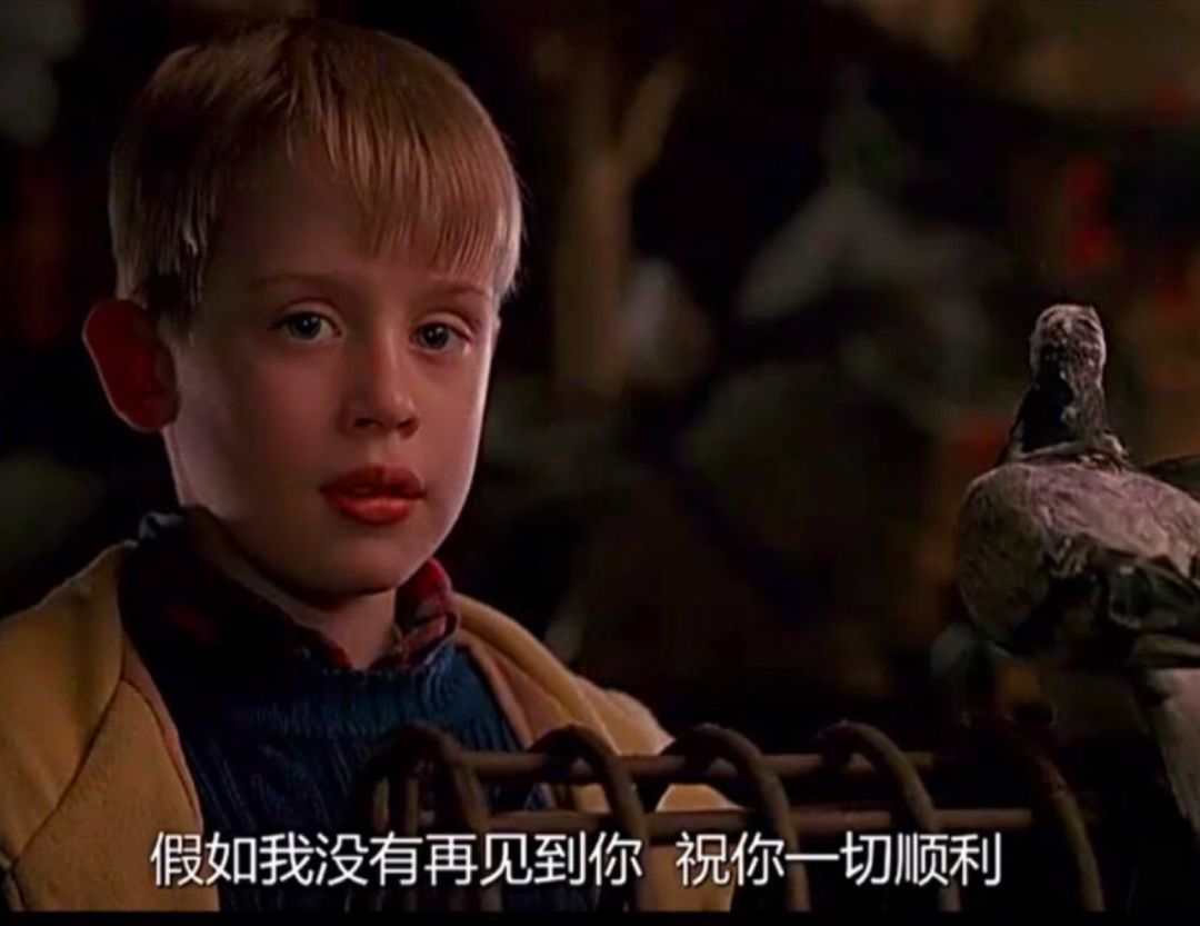 五年电影自由职业后，我终于没了朋友