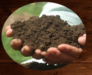 戴着口罩有口臭别人能闻到吗,戴口罩有口臭这些法宝来帮你