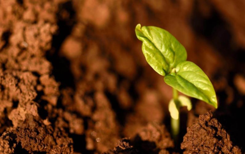 贴心服务暖人心复工企业送锦旗,复工复产暖心服务