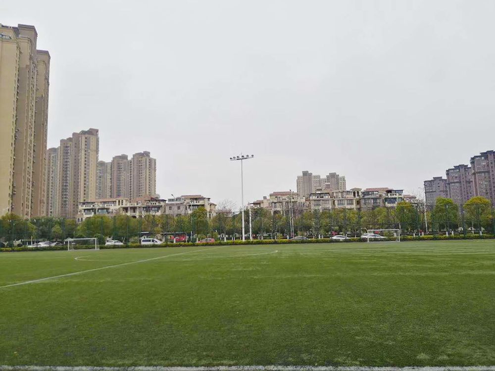 好消息太仓,太仓体育馆最新消息