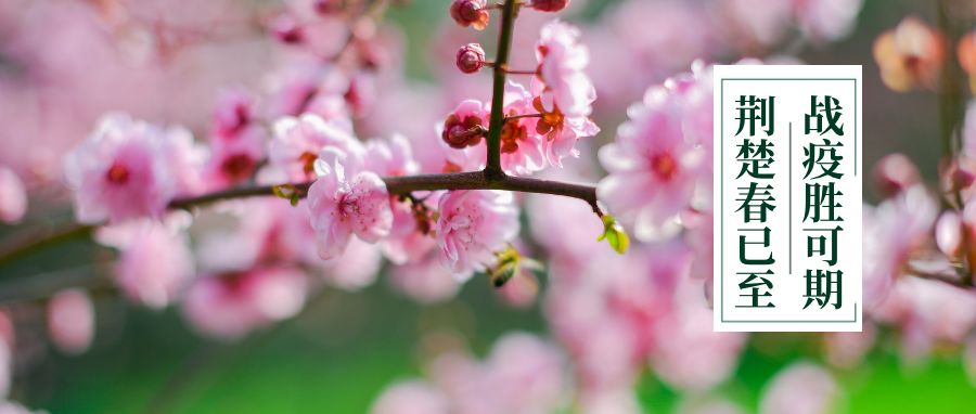 关注教师资格证,教师资格考试推迟认定