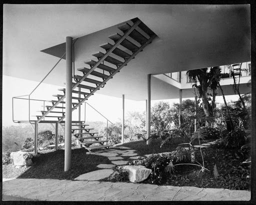 一年一度的植树,现在正在植树的视频